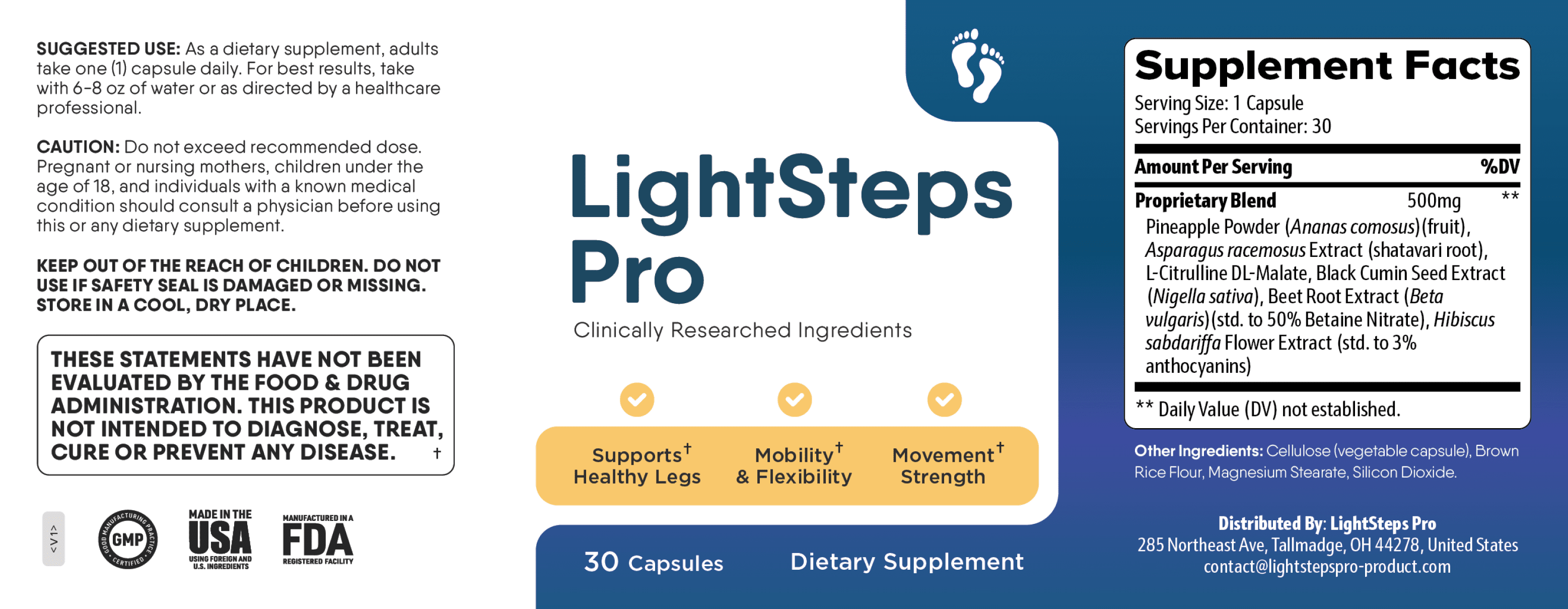 LightSteps Pro Lebel